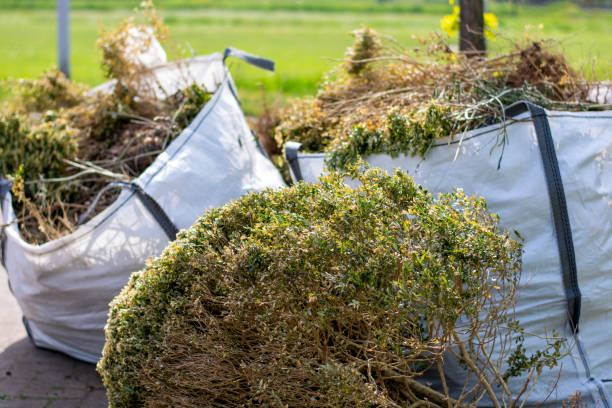 Professional Junk Removal Services in Providence, KY